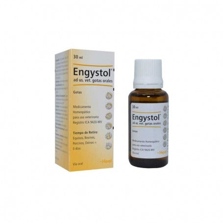 ENGYSTOL GOTAS 100ml