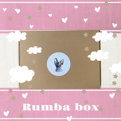 RUMBABOX